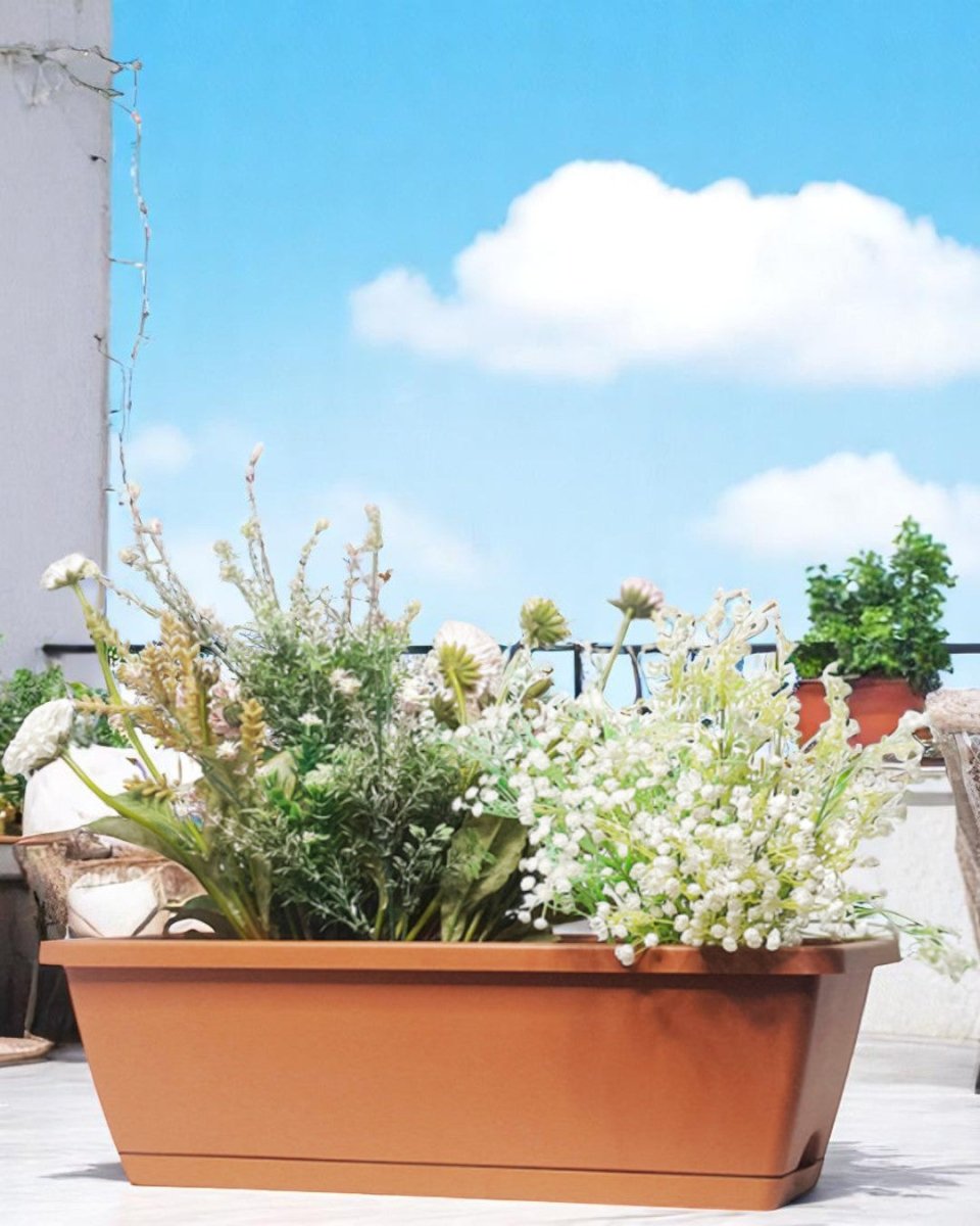 Growbox - Planter - 5365452921908 - Tumbleweed Plants - Online Plant Delivery Singapore
