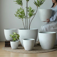 Cloudstone Classic Egg Planter - XL