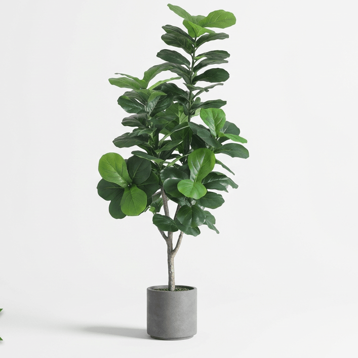 Fiddle Leaf Fig (Life-like Artificial) - Potted plant - 5196532851019 - Tumbleweed Plants - Online Plant Delivery Singapore