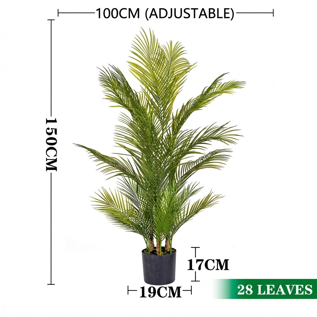 1.5m 28 leaves - spiny areca