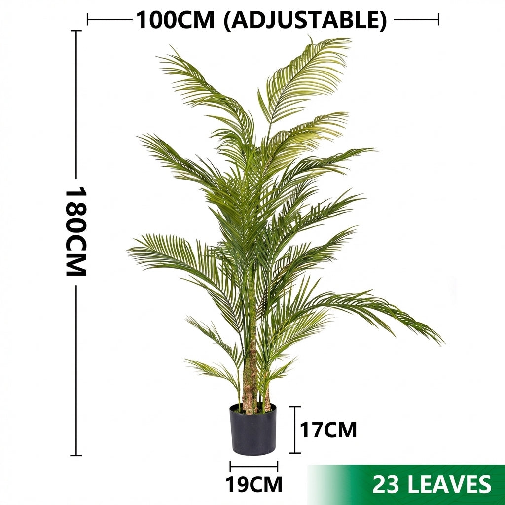 1.8m 23 leaves - spiny areca