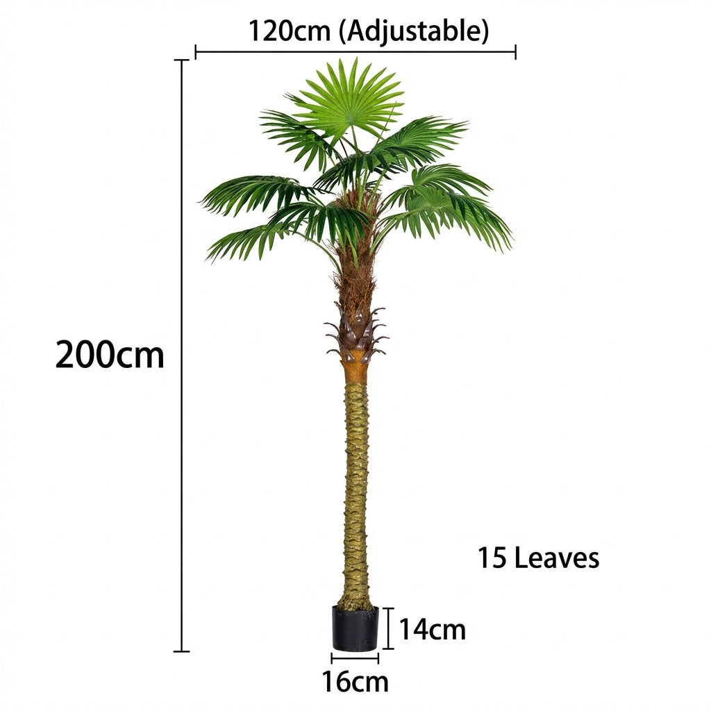 2m - round coconut