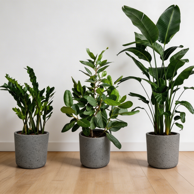 ORDER A GARDEN