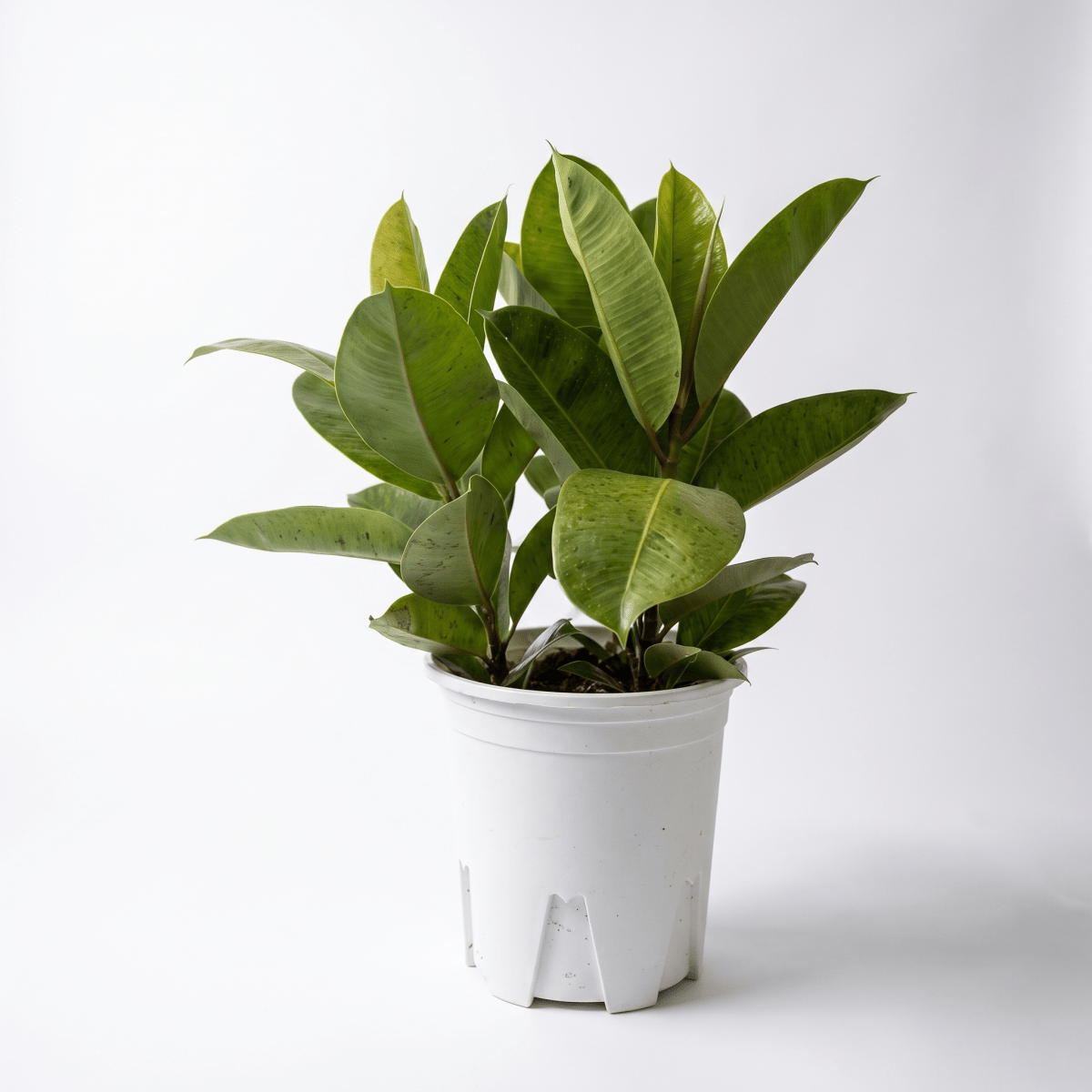 Grow Pot