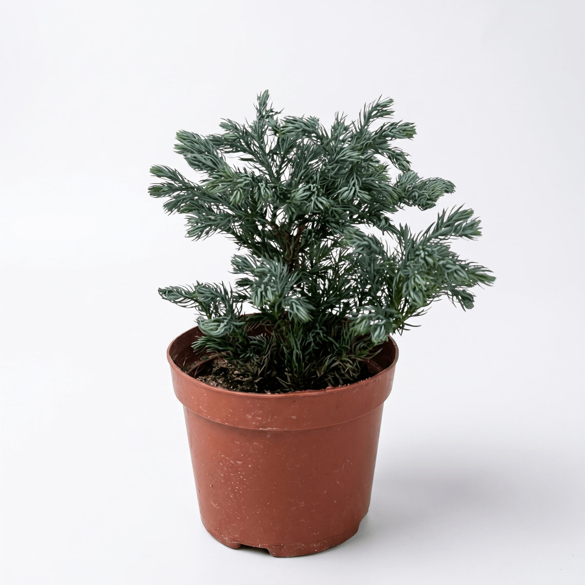 Grow Pot