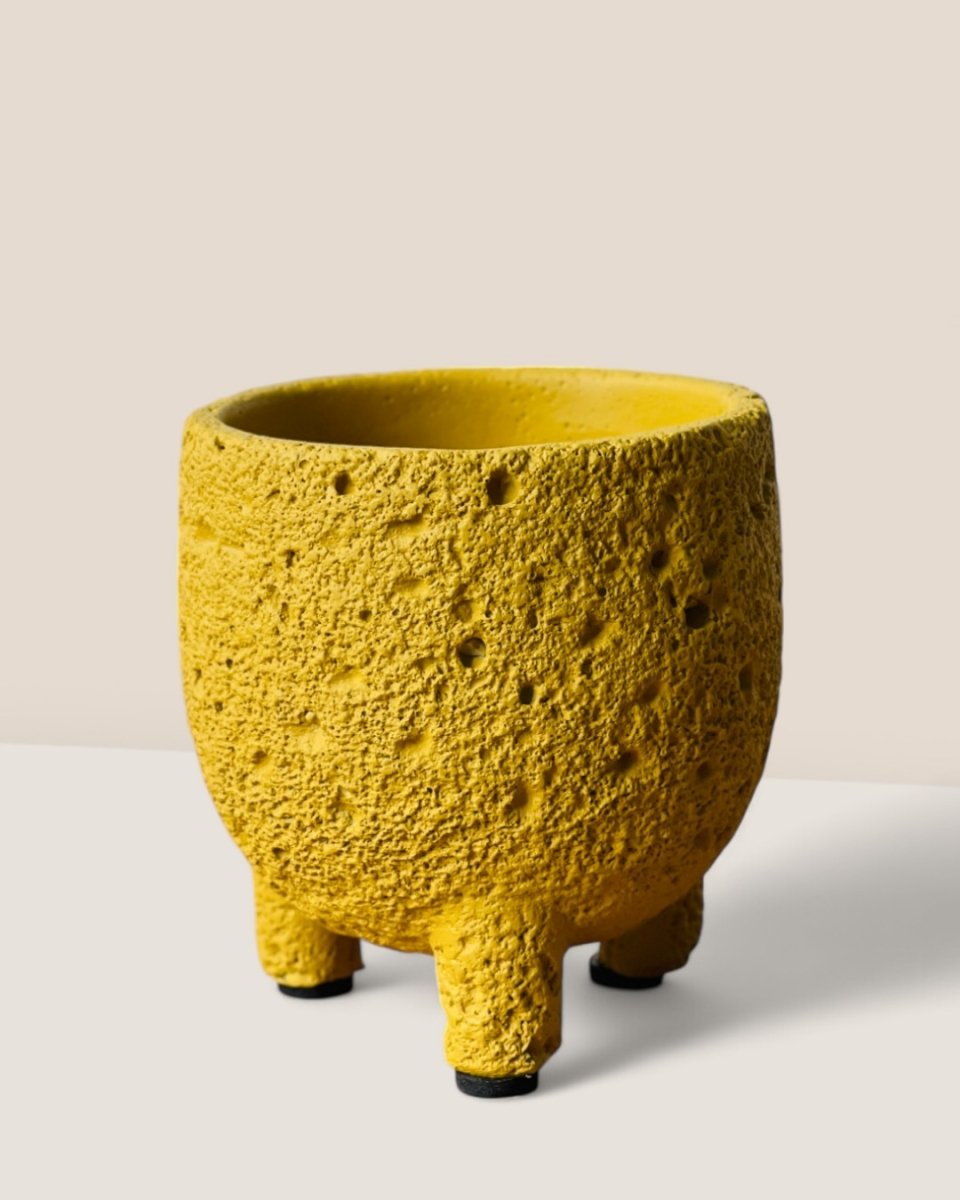 Mini Anya Cement Pot - Pots - POTS - MINI - 6489 - Tumbleweed Plants - Online Plant Delivery Singapore