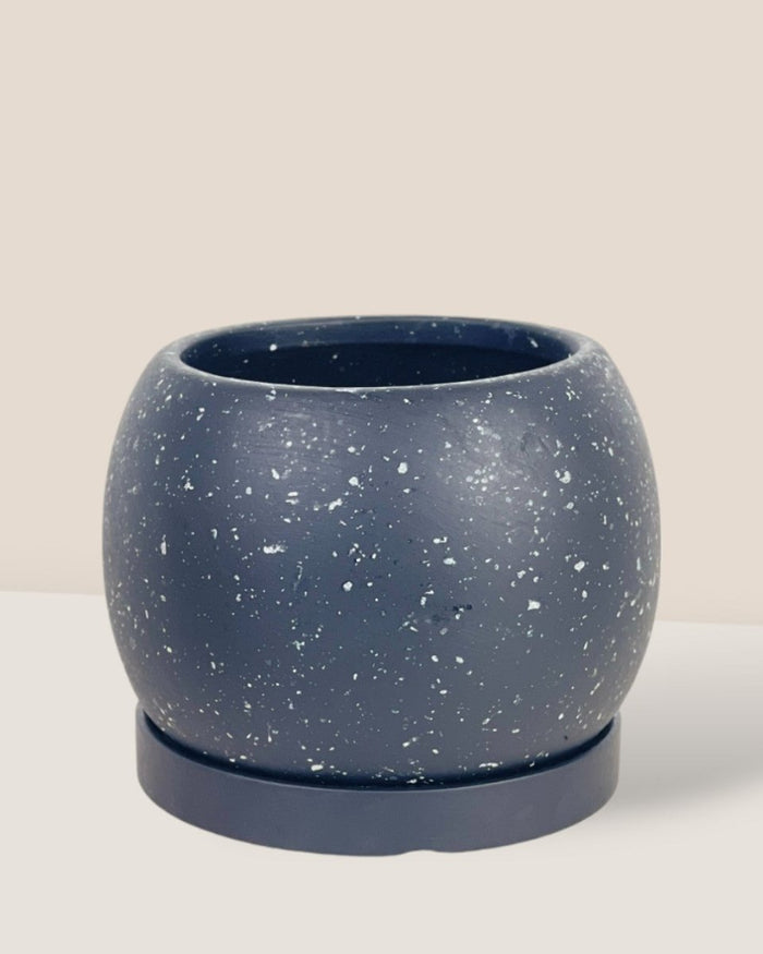 Mini Nala Planter - brown - Pot - Tumbleweed Plants - Online Plant Delivery Singapore