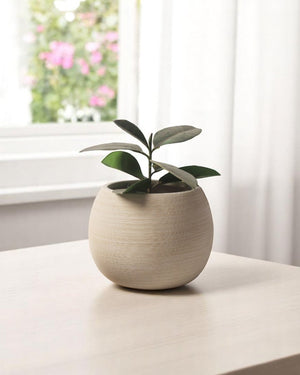 Tumbleweed Plants