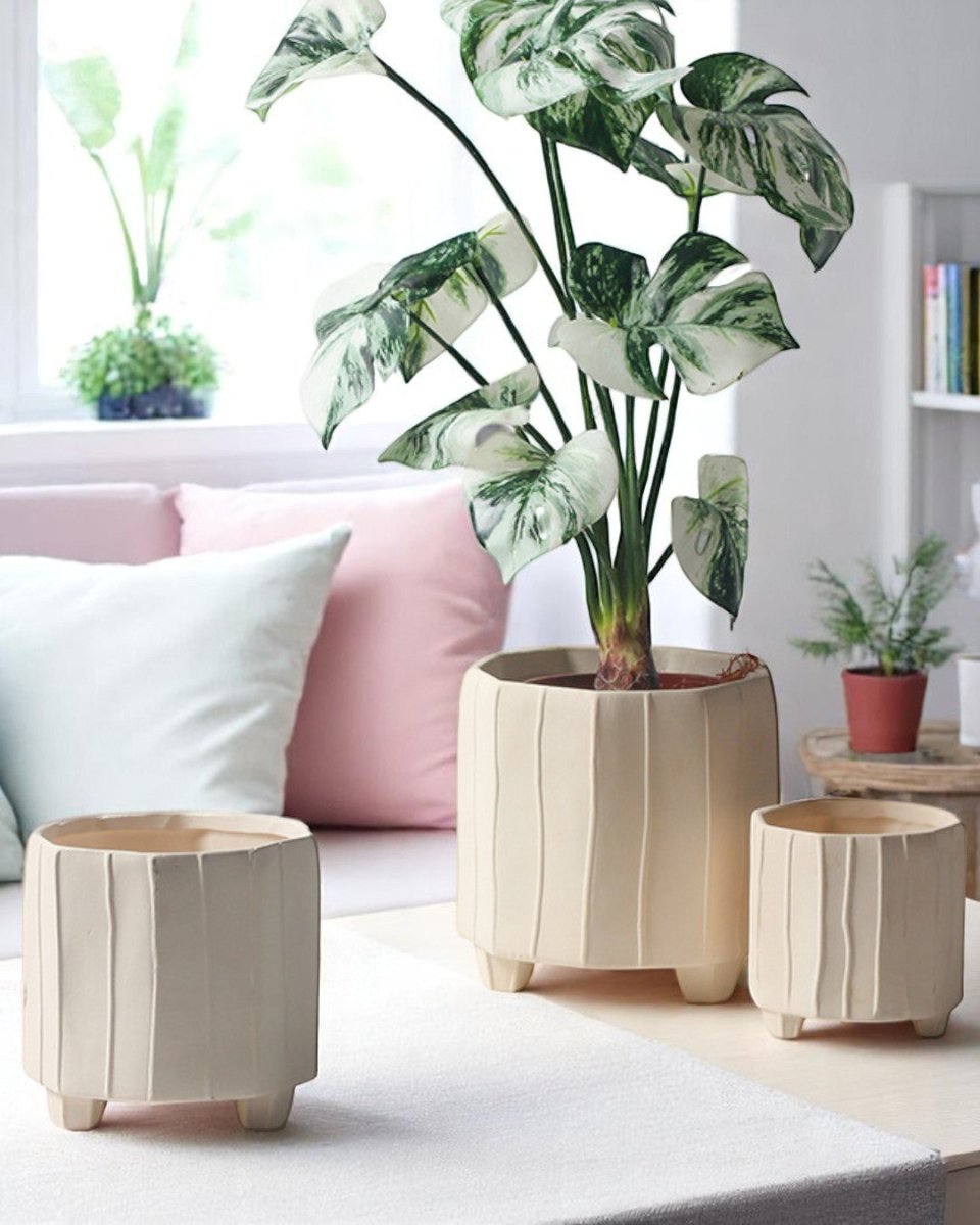 Noko Planter - Medium - Planter - 5426276604878 - Tumbleweed Plants - Online Plant Delivery Singapore