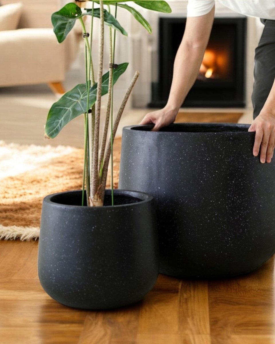 Nova Planter (Large) - Pots - 4754535109639 - Tumbleweed Plants - Online Plant Delivery Singapore