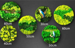 Orb Green - Preserved Plants: MOSS. - Moss Frame - 5816374869890 - Tumbleweed Plants - Online Plant Delivery Singapore