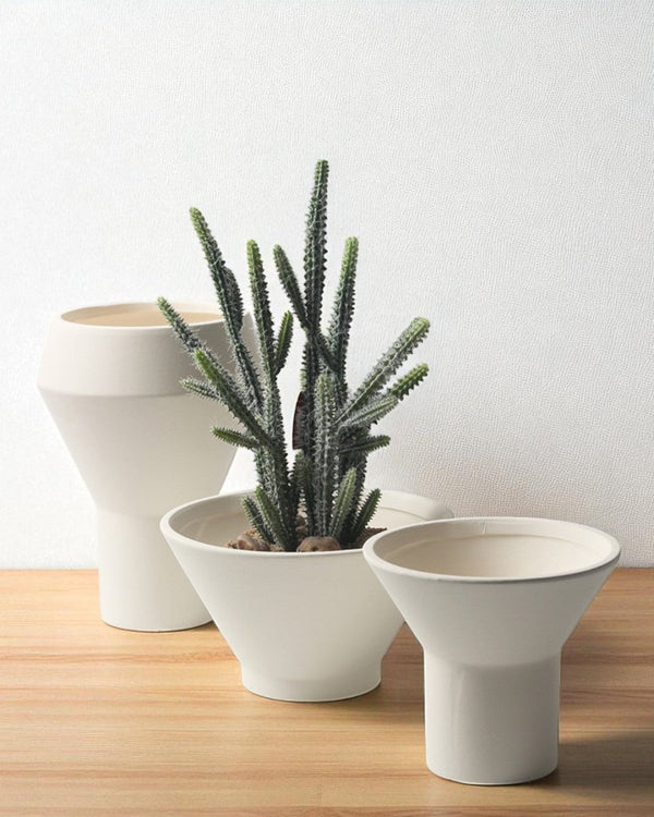 Tumbleweed Plants