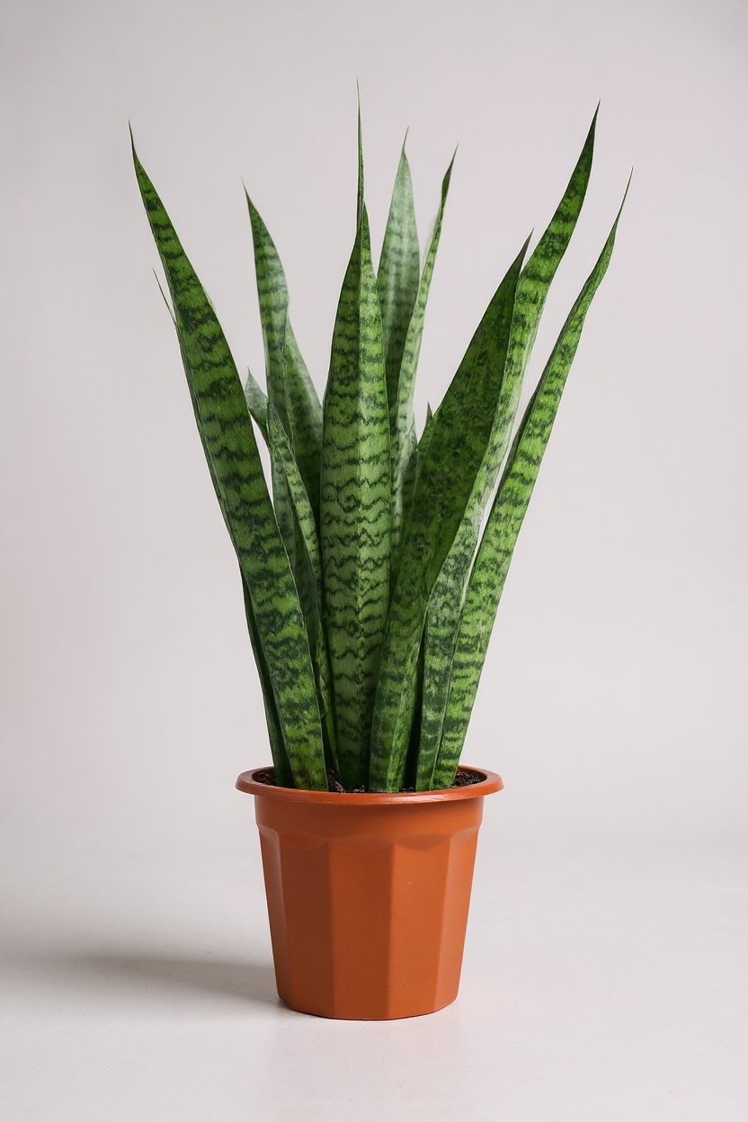 Grow Pot