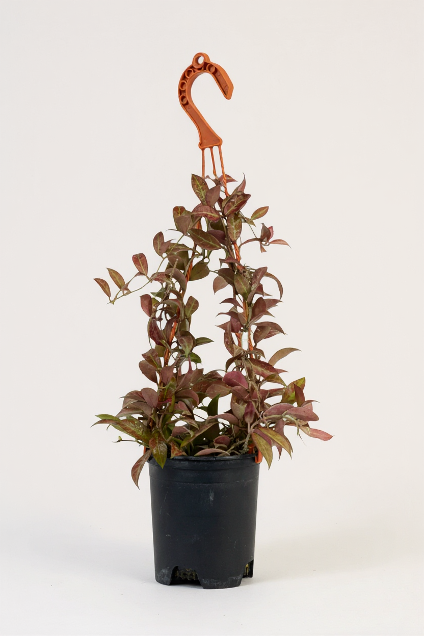 Grow Pot