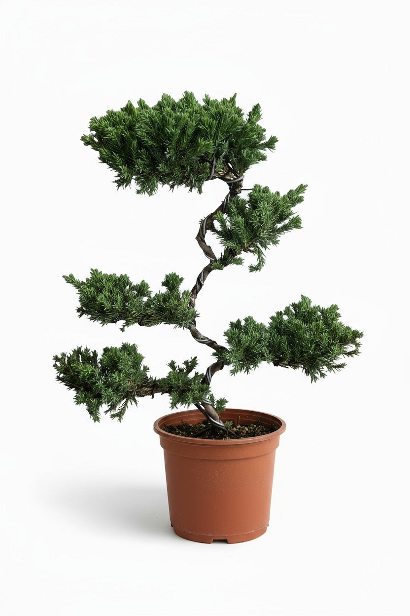 Grow Pot