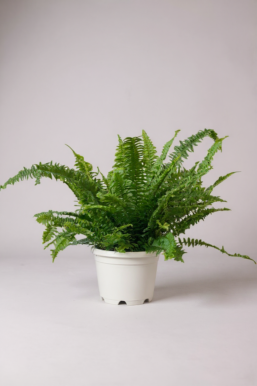 Grow Pot