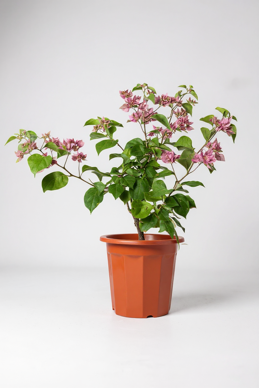 Grow Pot