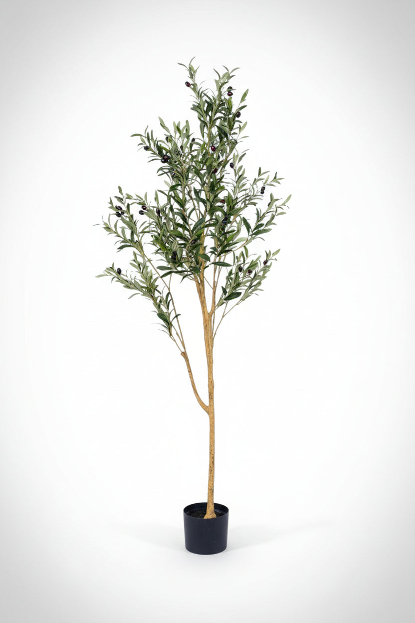 Grow Pot