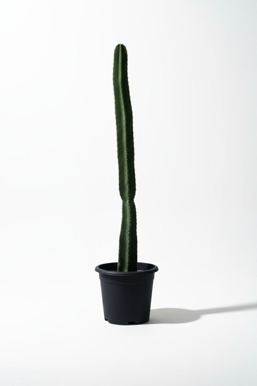Grow Pot