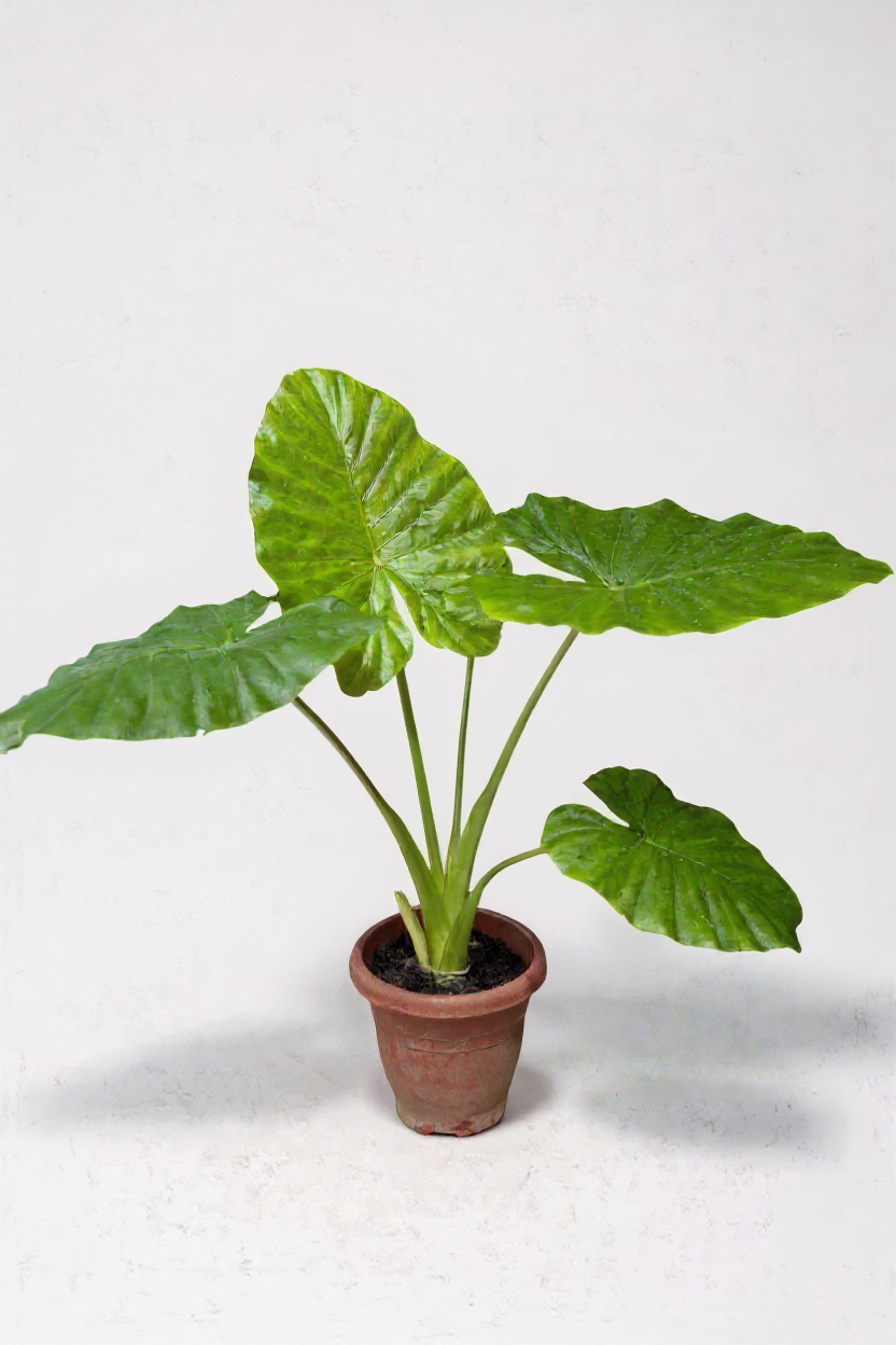 Grow Pot