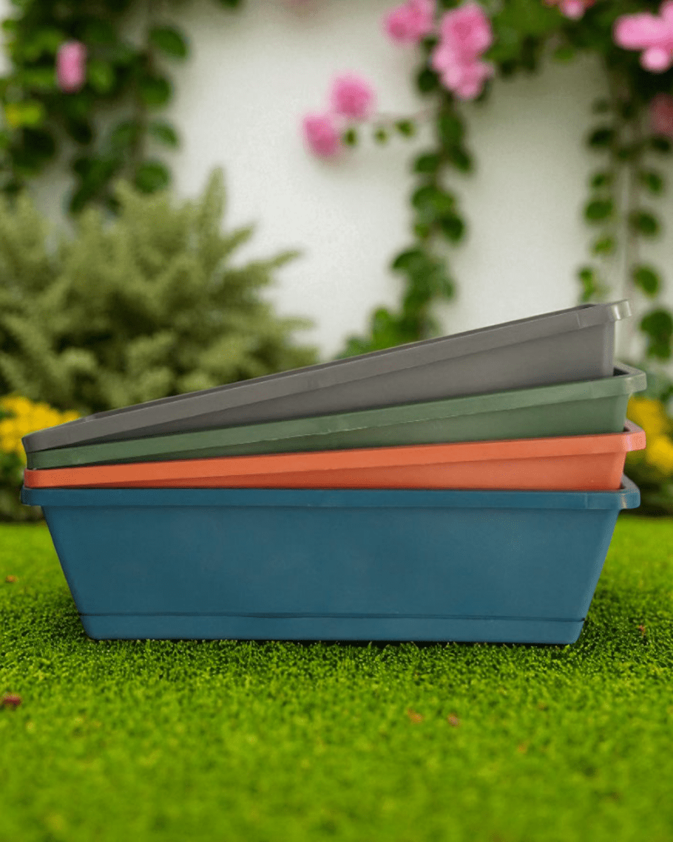 Rectangle Plastic Planter Box - Planter - 5803564481587 - Tumbleweed Plants - Online Plant Delivery Singapore