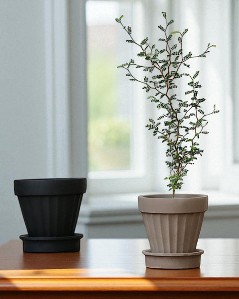 Rib Planter
