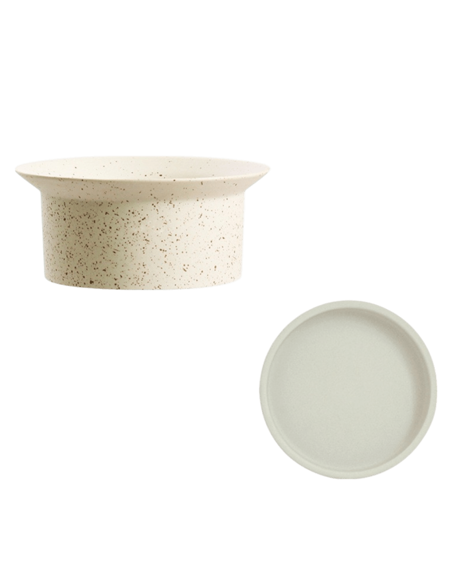 Ripple Bowl Ceramic Planter - Planter - 5052766219355 - Tumbleweed Plants - Online Plant Delivery Singapore