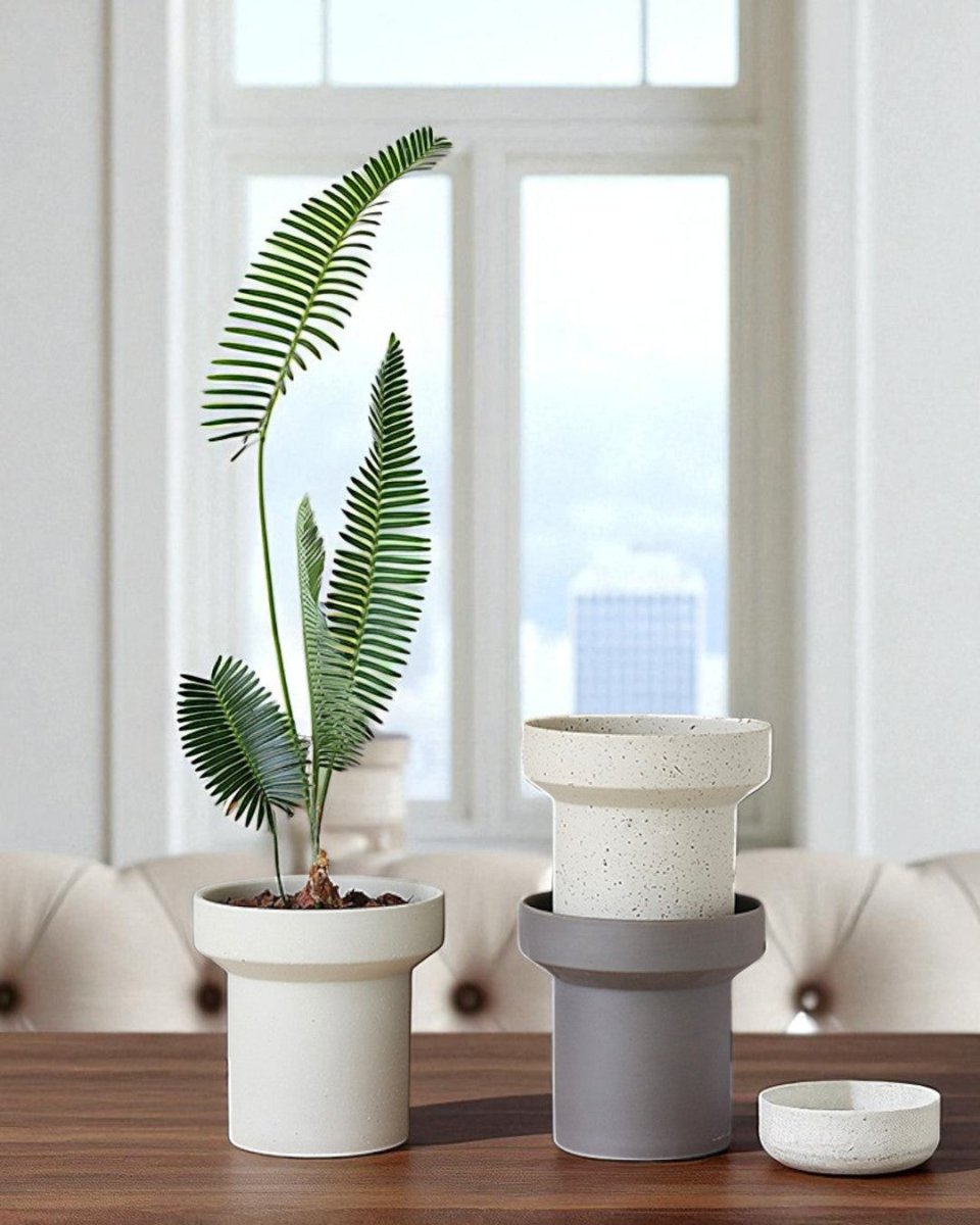 Ripple Cylinder Planter - Planter - 5673508202219 - Tumbleweed Plants - Online Plant Delivery Singapore
