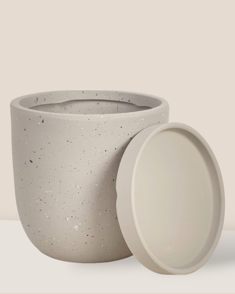 Small Eloise with Tray - grey - Pot - Tumbleweed Plants - Online Plant Delivery Singapore
