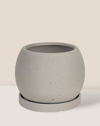 Nala Planter - Small