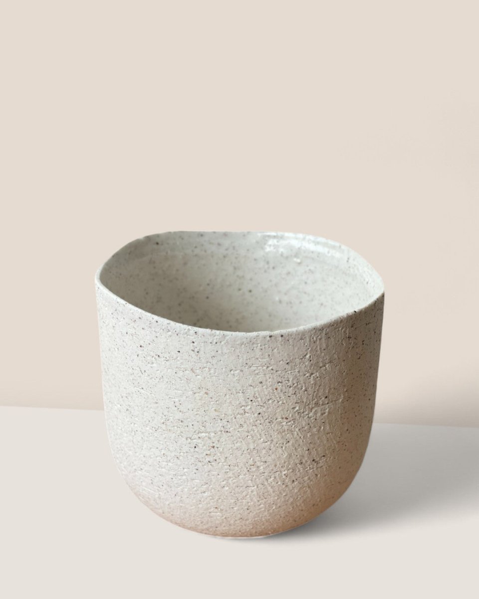 Small Octavia Planter - Pots - POTS - SMAL - 6482 - Tumbleweed Plants - Online Plant Delivery Singapore