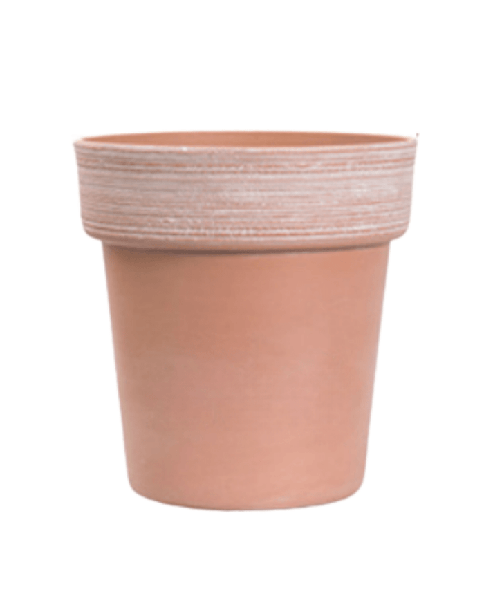 Stria Alto Pots - Large - Planter - 5447230618939 - Tumbleweed Plants - Online Plant Delivery Singapore
