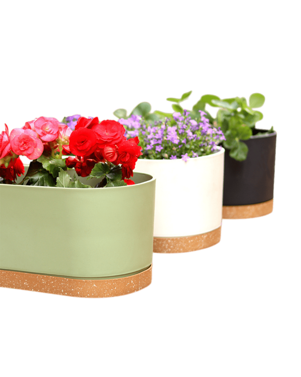 Verdant Rectangle Planter - Planter - 5280961920711 - Tumbleweed Plants - Online Plant Delivery Singapore