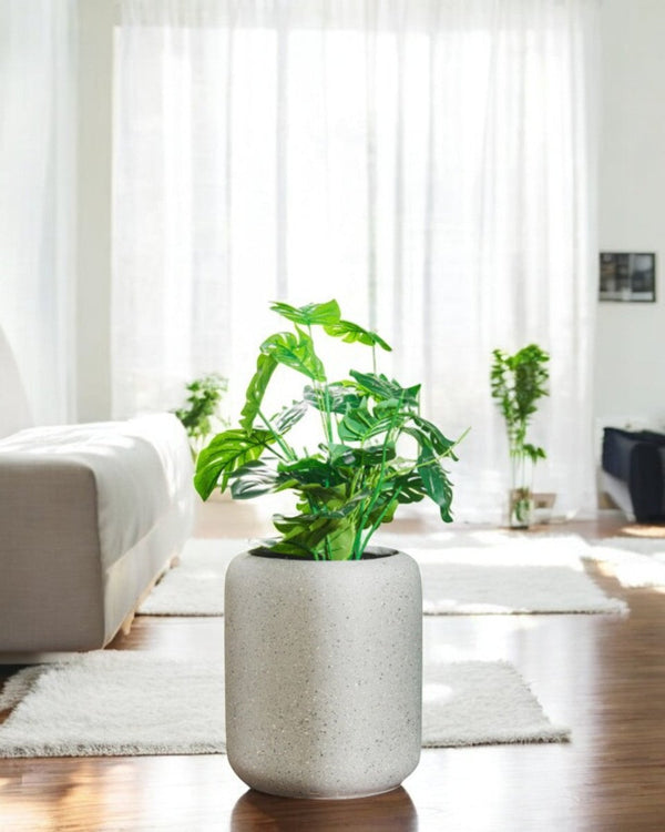 Tumbleweed Plants