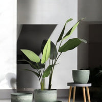 AirStone Egg Pots - XL