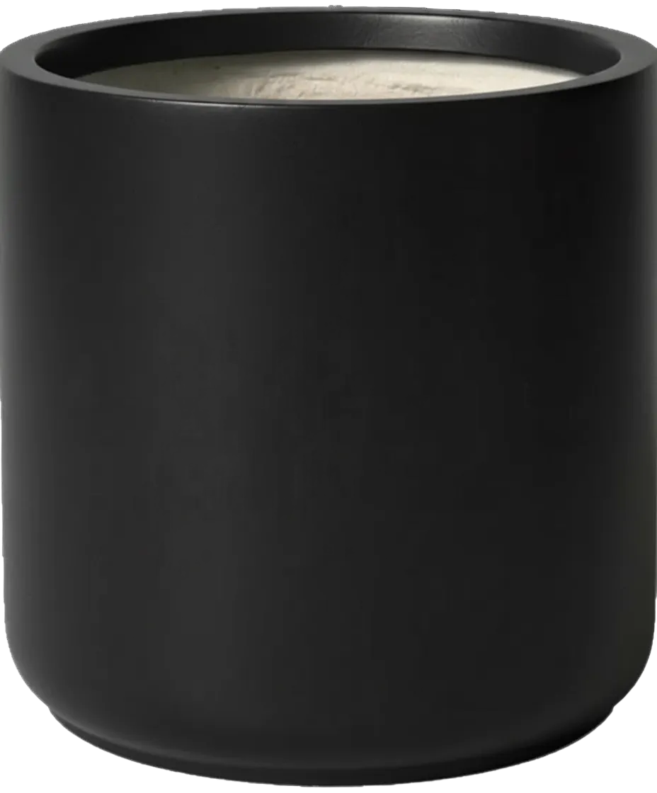 Elysia XXL