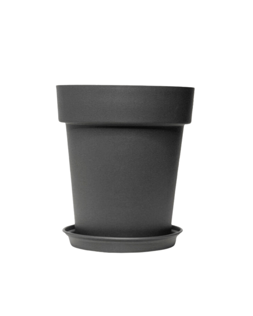XXL GAL Plastic Pots - Pots - 5448654919107 - 01 - Tumbleweed Plants - Online Plant Delivery Singapore