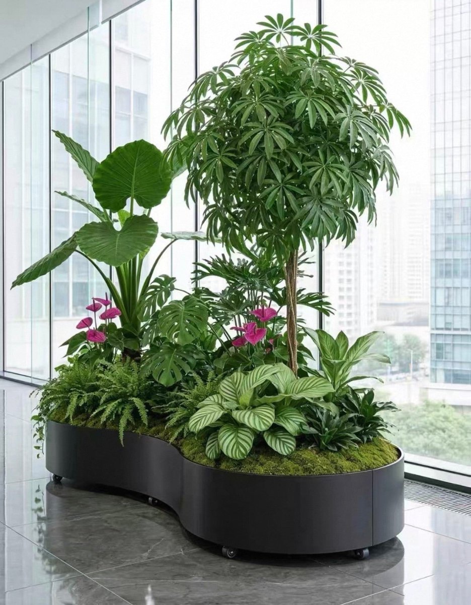A black free-form planter on castors, planted with ferns, calatheas and a small tree, beside a window