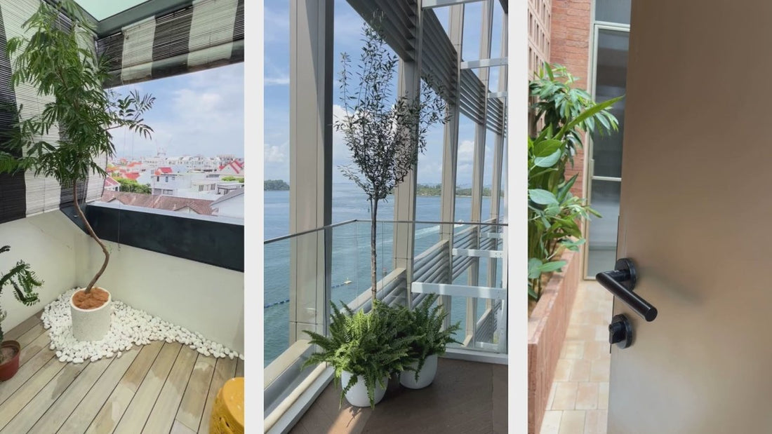 Three of our plant styling projects: two balconies and an entrance